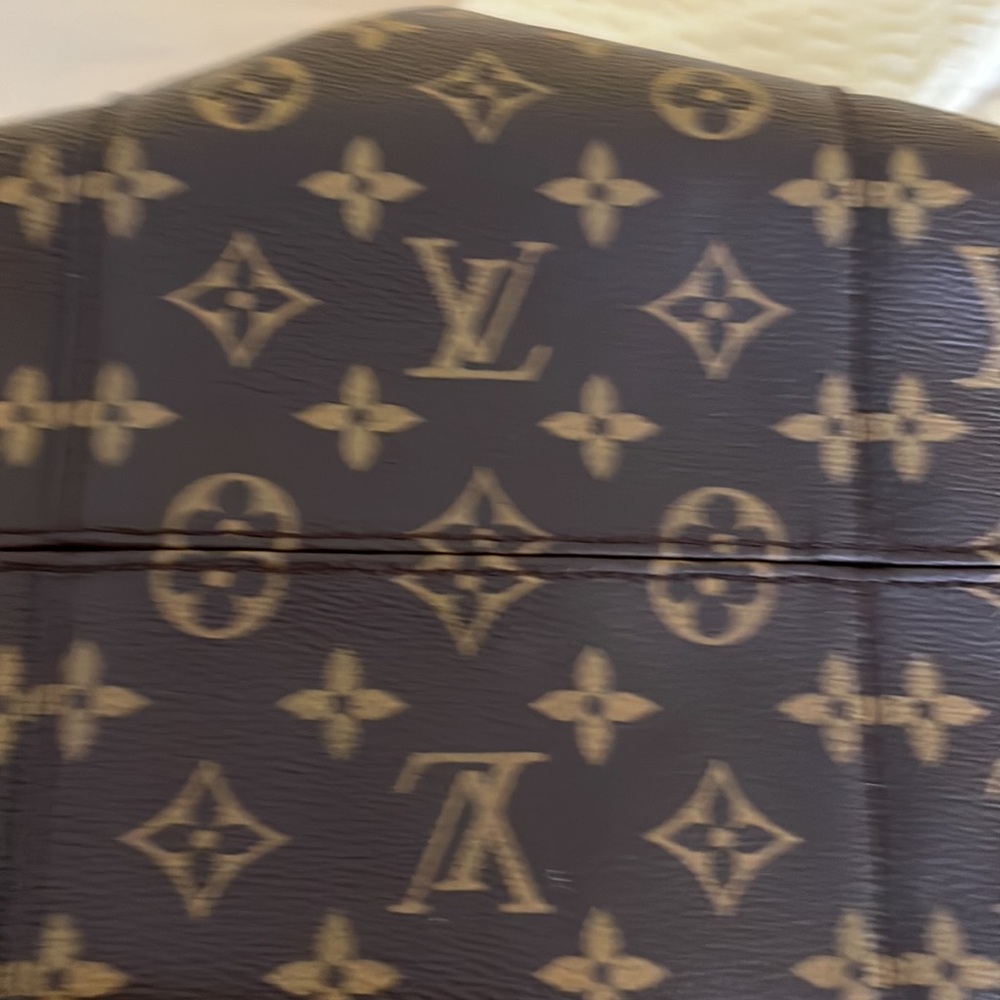 Genuine Louis Vuitton Bag - Picture 8 of 13